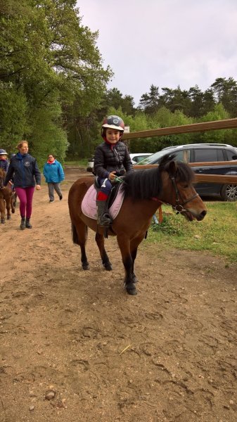 Haras des Courlis - photo 3