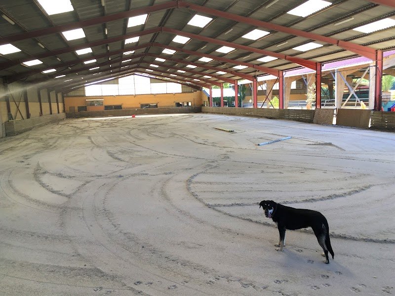 Centre Equestre Alix - photo 1