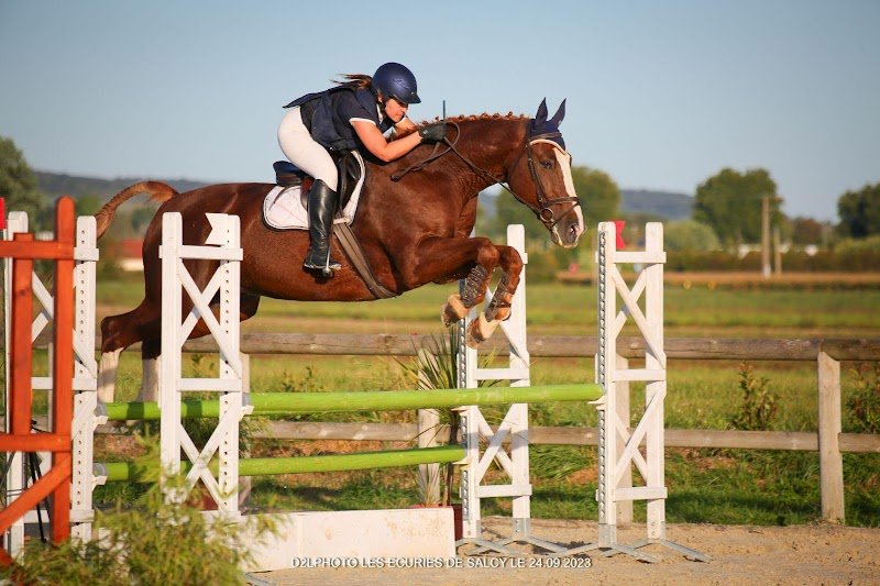 Ecuries de Salcy - photo 1