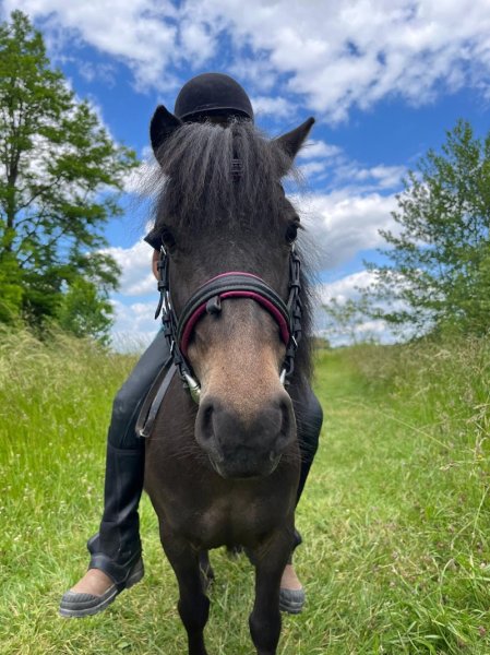 Ecuries de Salcy - photo 3