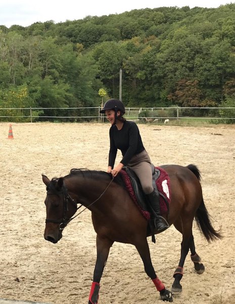 Les Ecuries Des Bruleries - photo 1