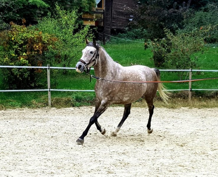 Les Ecuries Des Bruleries - photo 2