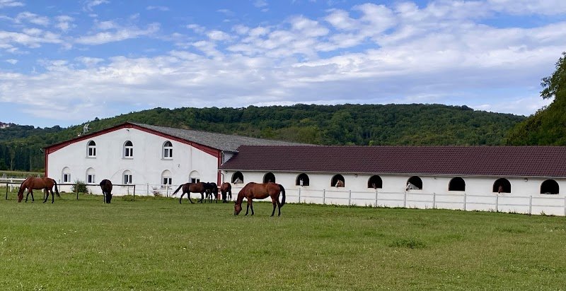 Centre Equestre du Centaure - photo 1