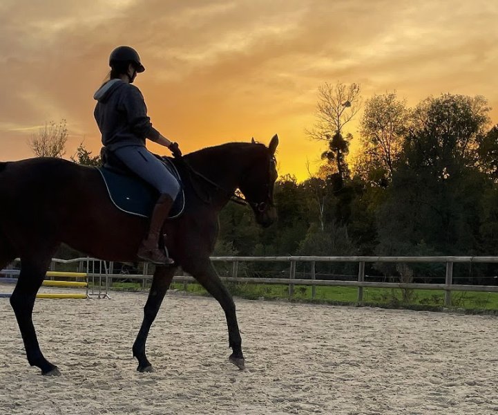 Centre Equestre du Centaure - photo 3