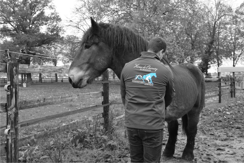 Haras de Charmoy - photo 1