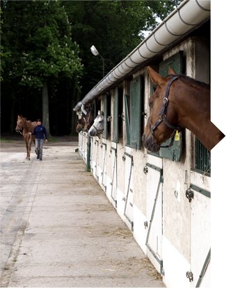 Haras de Charmoy - photo 2
