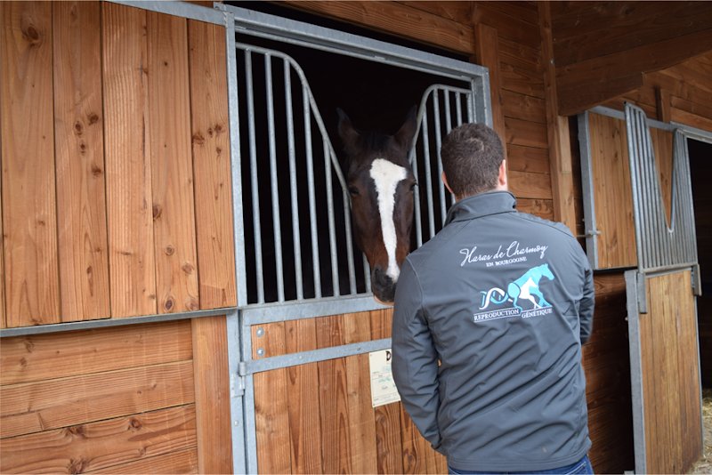 Haras de Charmoy - photo 3