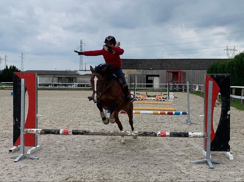 Écuries du Nectar - photo 2