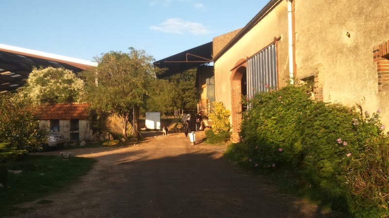 Ecuries de Richemont - photo 1