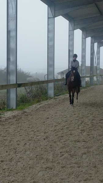 Centre équestre de champignelles - photo 1