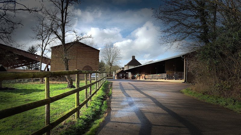 Poneys des Quatre Saisons