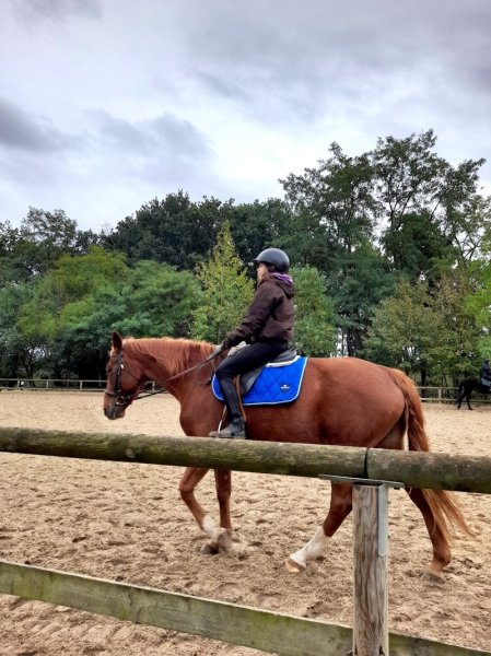 Poneys des Quatre Saisons - photo 3