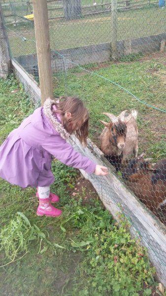 Domaine Equestre du Château de Chemilly - photo 3