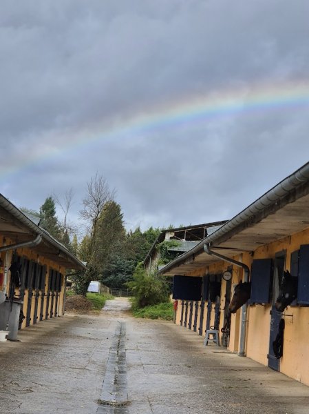 LES ECURIES Anthony CHEMIN - EAC JUMPING - photo 2