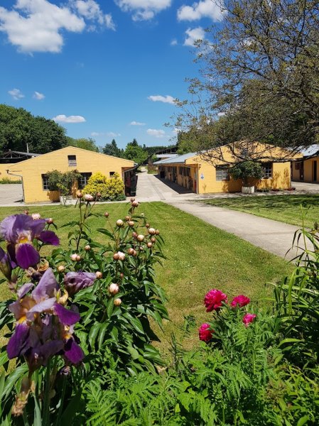 LES ECURIES Anthony CHEMIN - EAC JUMPING - photo 3