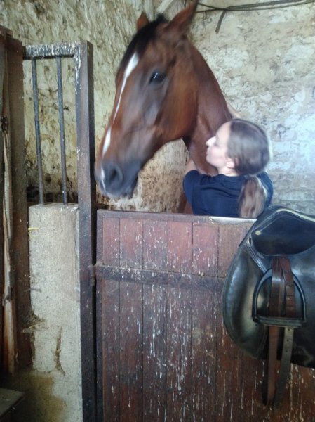 Les Ecuries de Villemer VILLEMER - photo 2