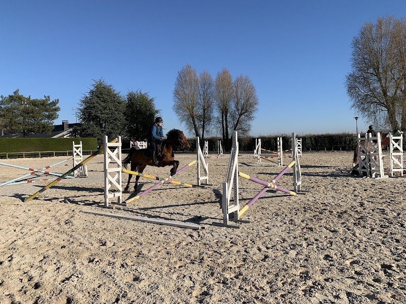 Les Ecuries de Clairis - ASCDC - photo 2