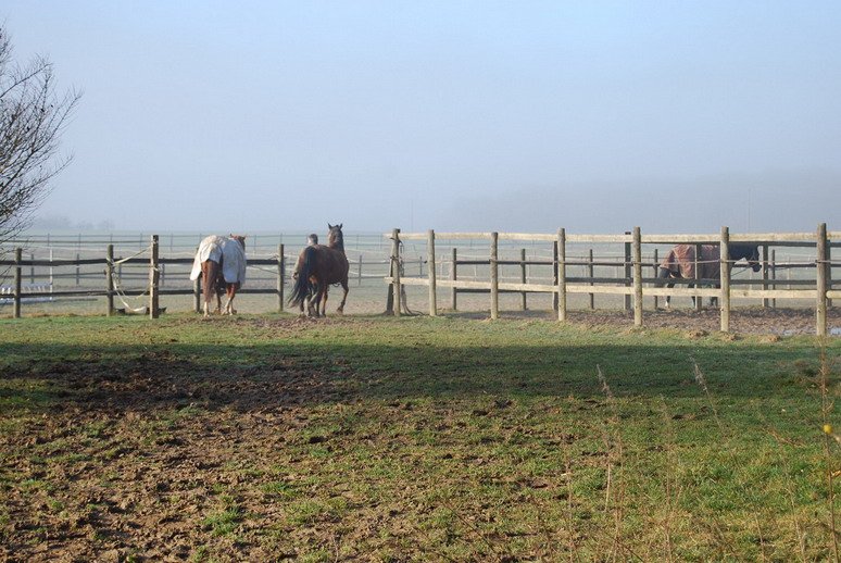 HARAS DU BREAU - photo 1