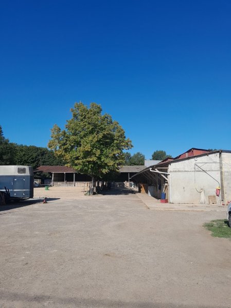 Écurie de Meline - photo 2