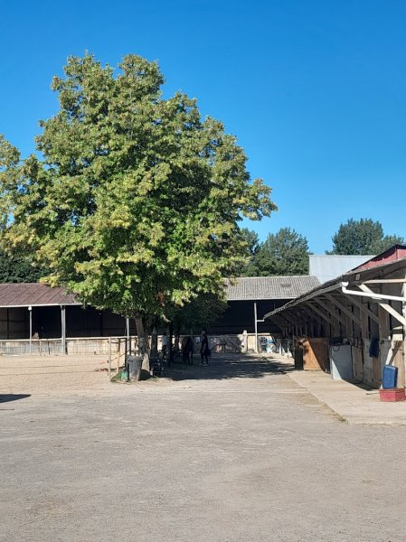 Écurie de Meline - photo 3