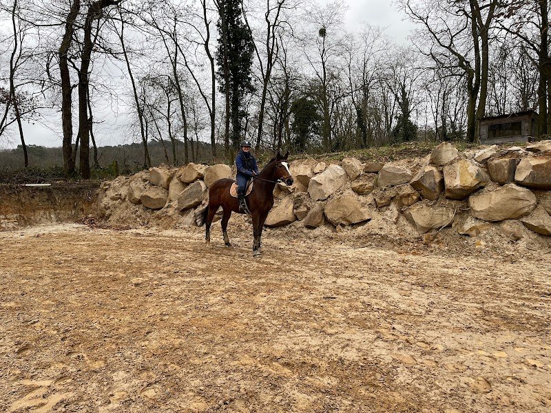 Écurie du Petit Tertre - photo 1