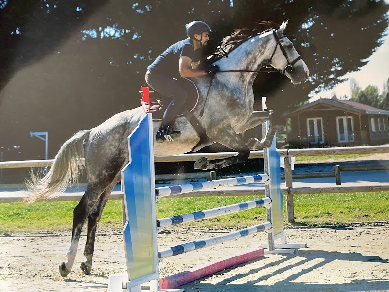 Écurie du Petit Tertre - photo 3
