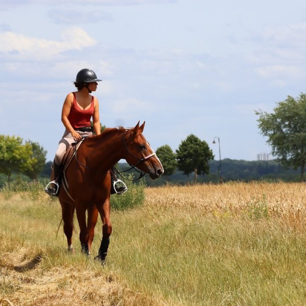 Les écuries de Saint-Fargeau - photo 1