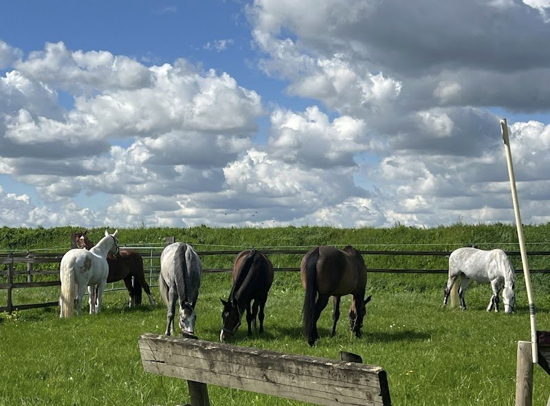 Les écuries de Saint-Fargeau - photo 3
