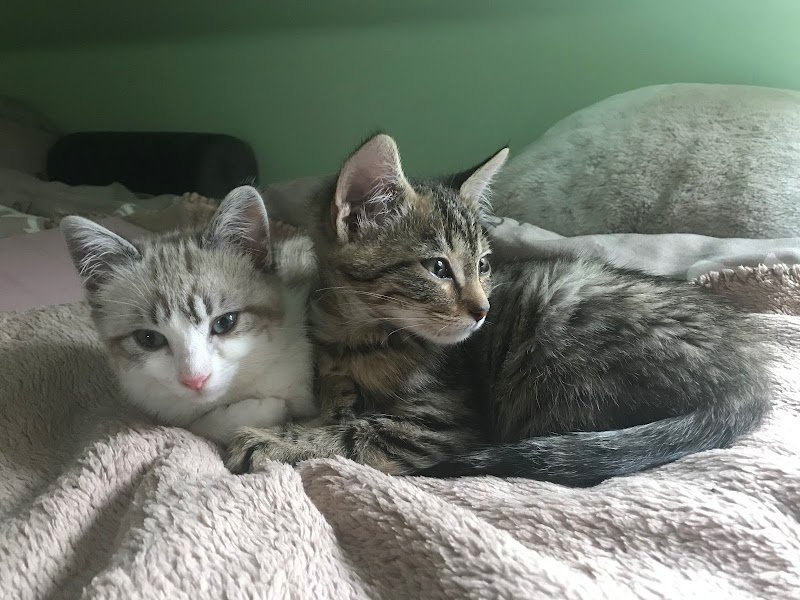 La Pension de Chipie - photo 1