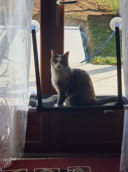 La Pension de Chipie - photo 3