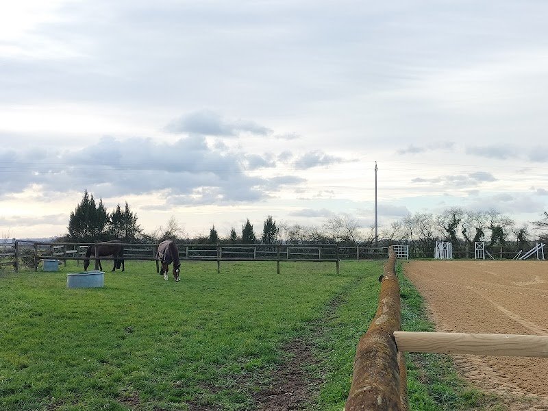 Haras de MERE - photo 3