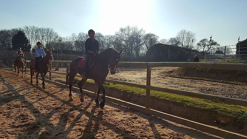 HARAS DE VILLECHETIVE