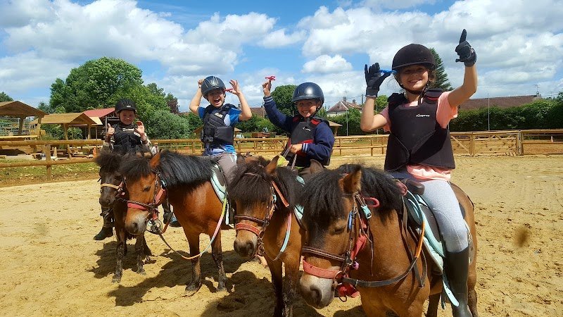 HARAS DE VILLECHETIVE - photo 2