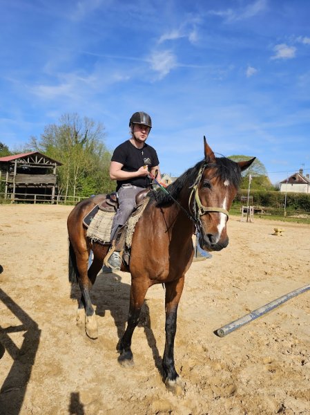HARAS DE VILLECHETIVE - photo 3