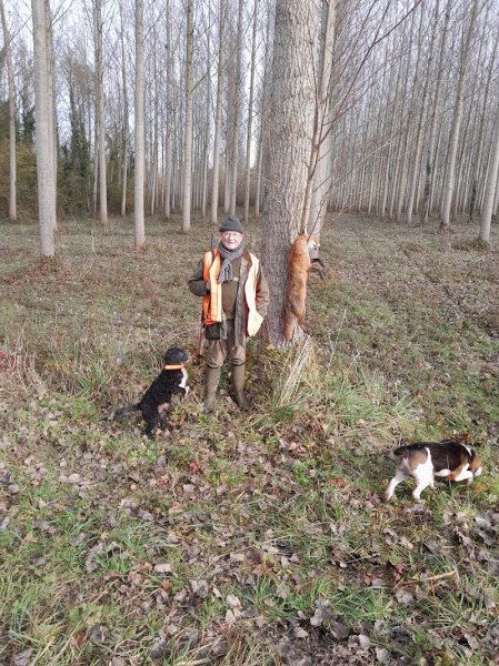 Haras de Charmoy - photo 1