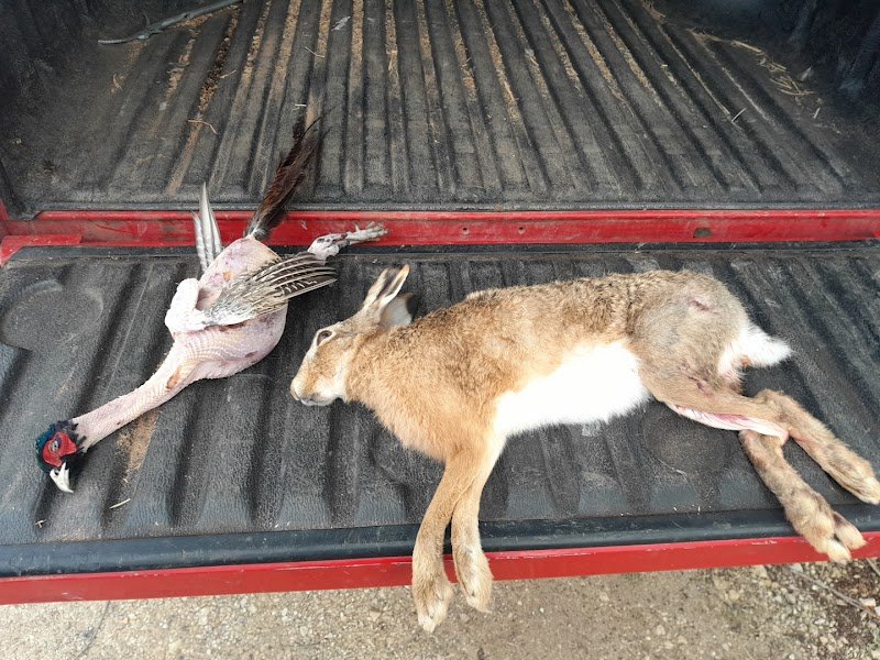 Haras de Charmoy - photo 2