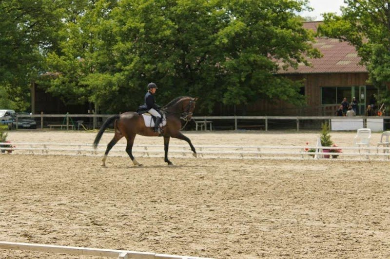 Ecurie Des Vallees - photo 1