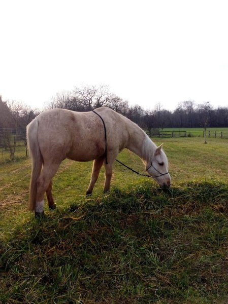 Ecurie de la Charbonnotte