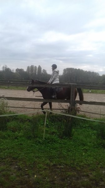 Ecurie de la Charbonnotte - photo 3