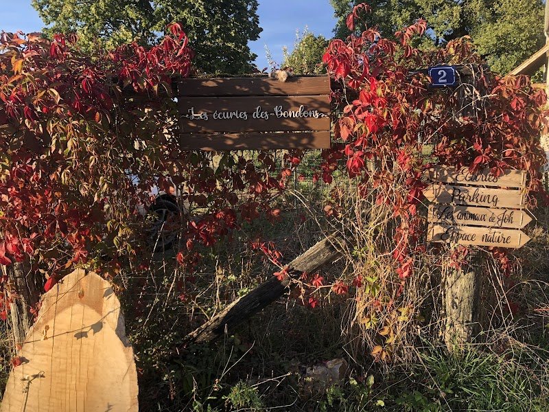 Les écuries des Bondons- Les animaux de Joh- Ferme d'animations- Médiation par l'animal - photo 2