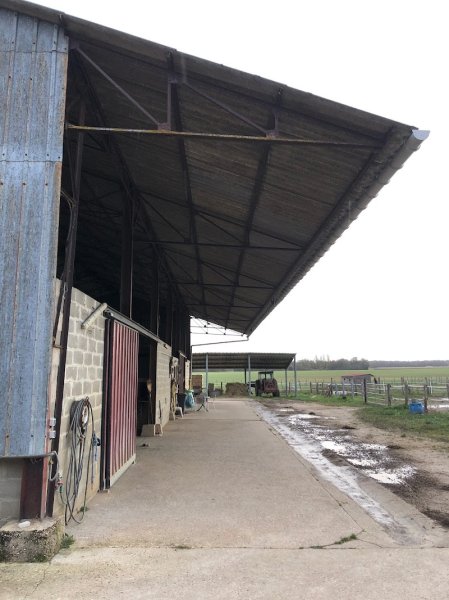 Les écuries des Bondons- Les animaux de Joh- Ferme d'animations- Médiation par l'animal - photo 3