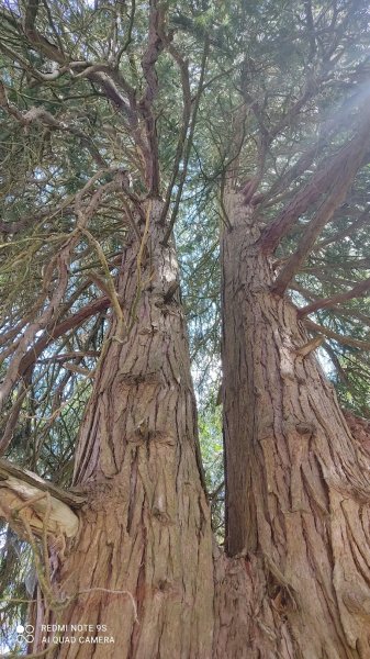 Poney Club des Terrasses - photo 3