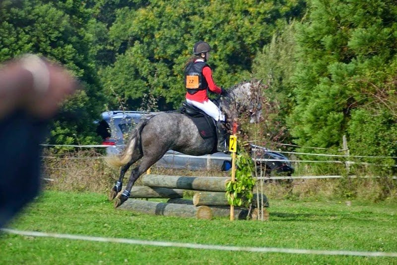 Centre équestre de Galbaux - photo 3