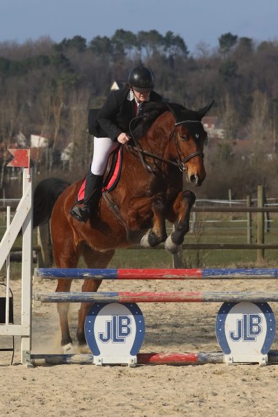 Haras du Parc - photo 1