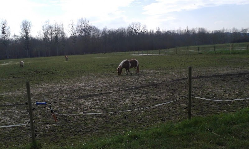 Haras du Parc - photo 2