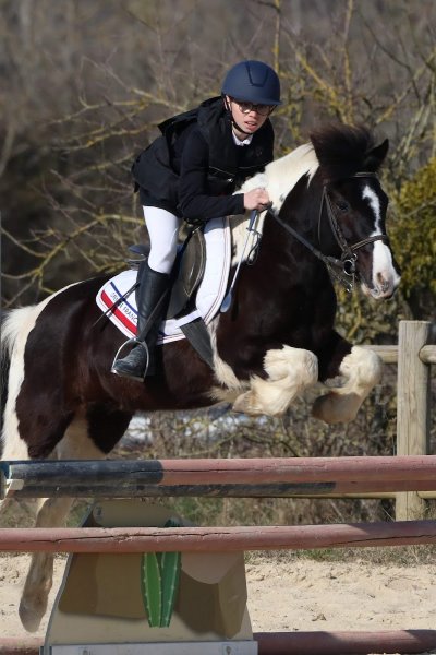 Haras du Parc - photo 3