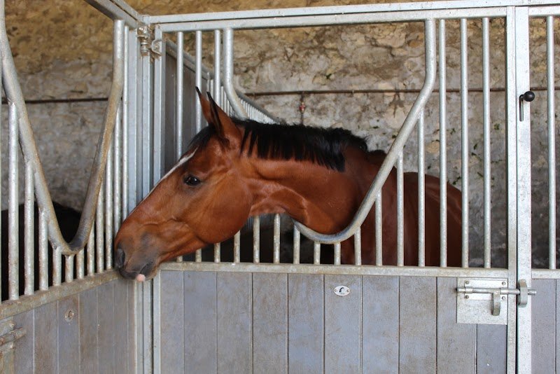Écuries Deux Fontaines - photo 1