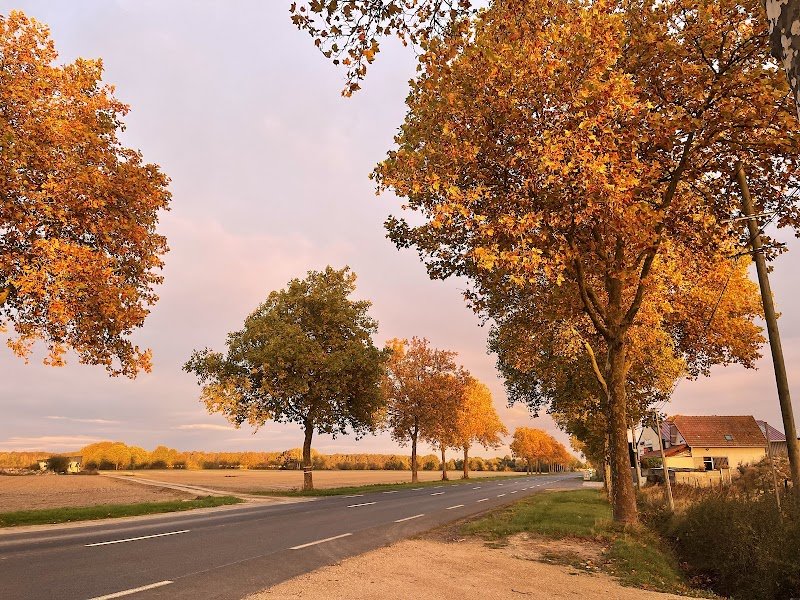 Haras de Villiers en Bière - photo 3