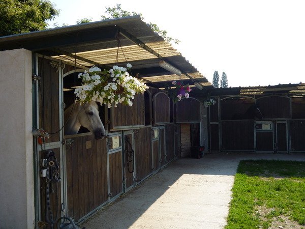 Cercle Hippique de la Longueraie - photo 3