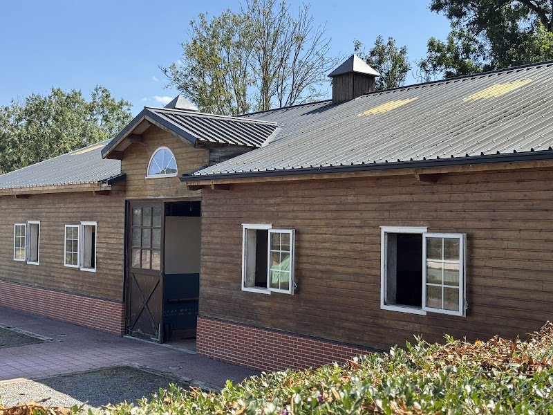 Haras de Sermentot - Écuries de propriétaires - Pension pour chevaux - photo 2